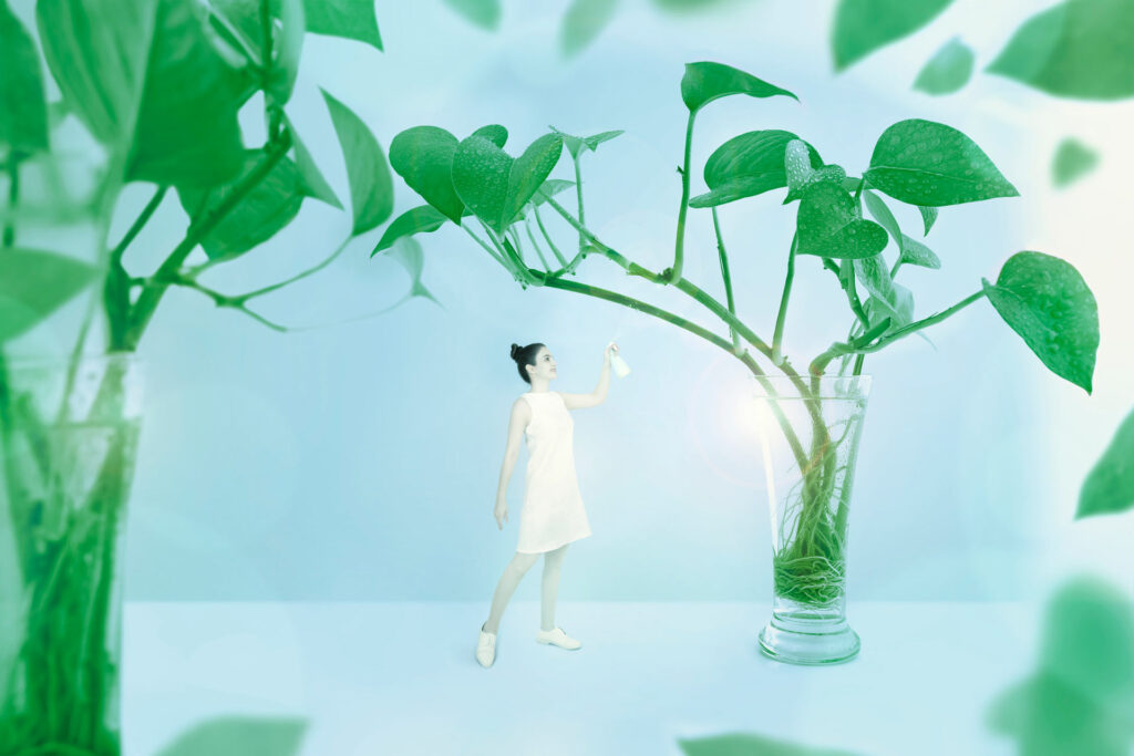 Pothos In a world of imagination - stock photo